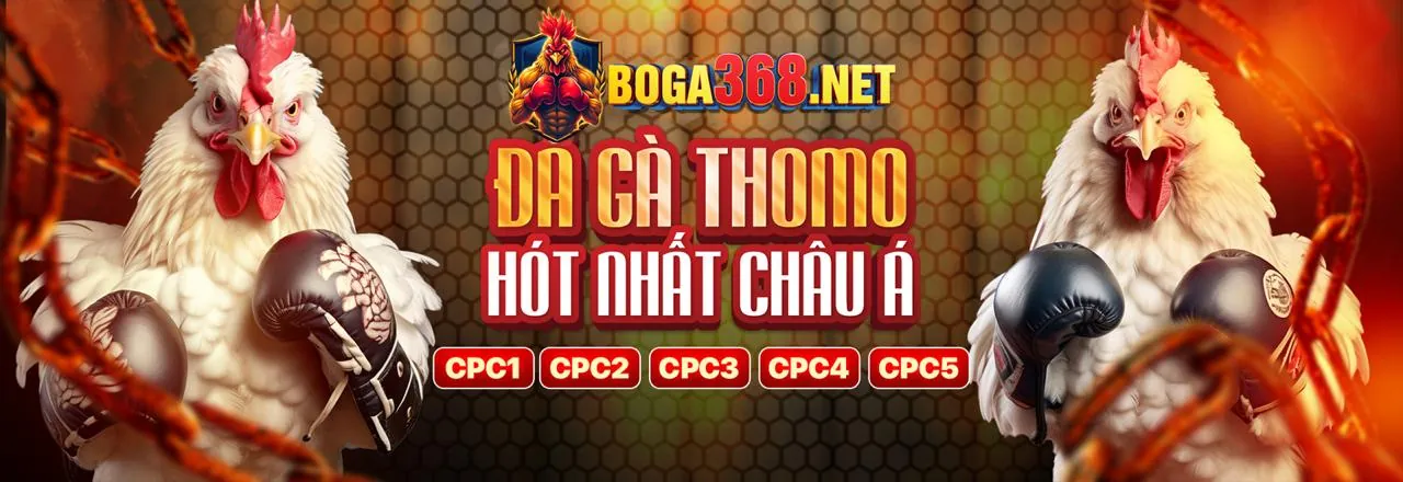 Đá Gà Trực Tuyến Hấp Dẫn tại 18vn link vào